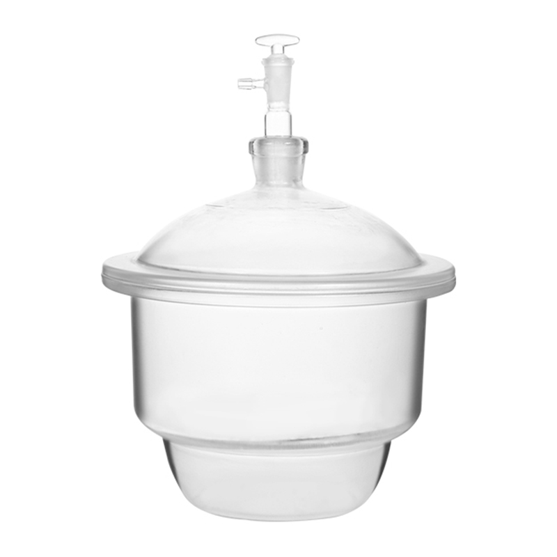 Vacuum Desiccator Vacuum Desiccator